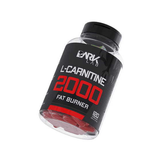 acetyl l carnitine seizures Acetyl-L-Carnitine Exerts Neuroprotective and Anticonvulsant Effect in Kainate Murine Model of Temporal Lobe Epilepsy | Journal of Molecular Neuroscience acetyl l carnitine seizures Acetyl-L-Carnitine Exerts Neuroprotective and Anticonvulsant Effect in Kainate Murine Model of Temporal Lobe Epilepsy | Journal of Molecular Neuroscience